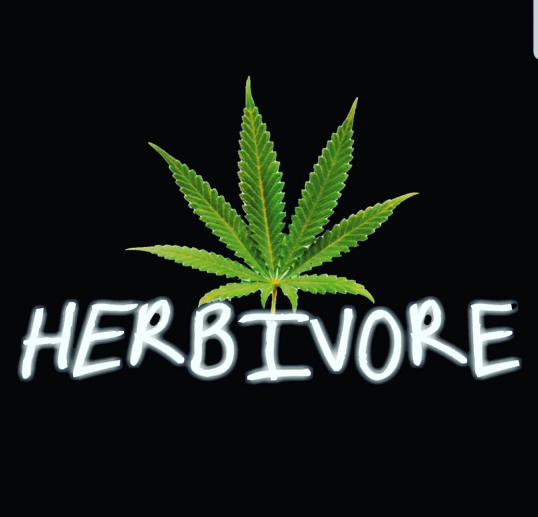 HERBiVORE